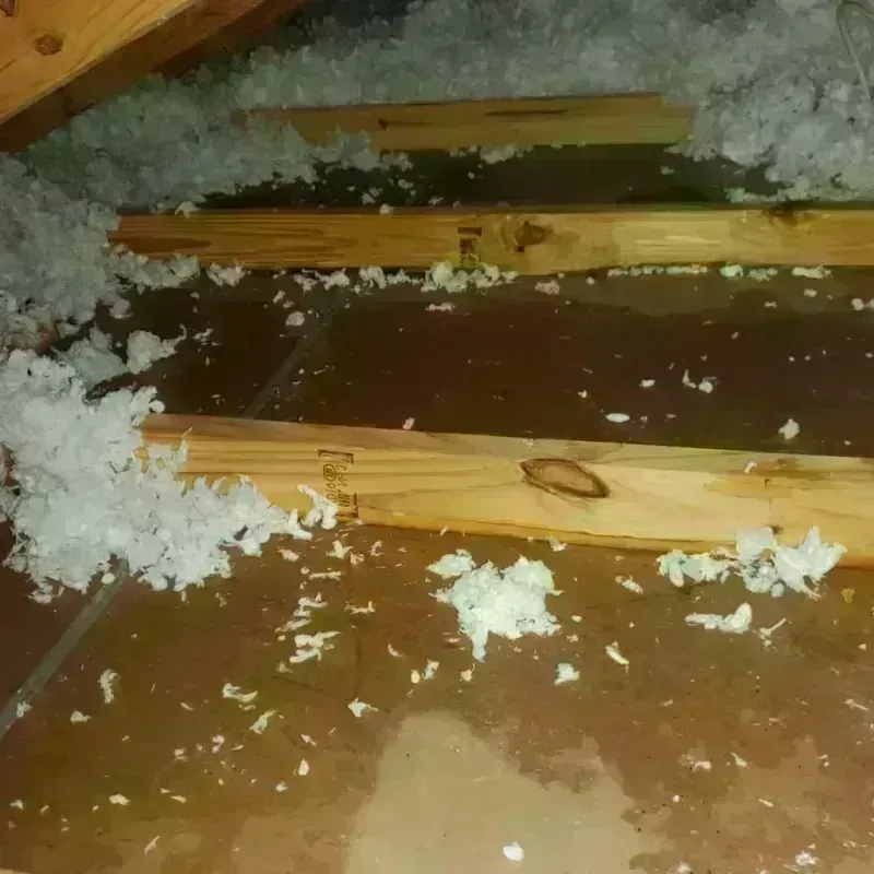 Attic Water Damage in Linden, TN